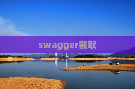 swagger截取